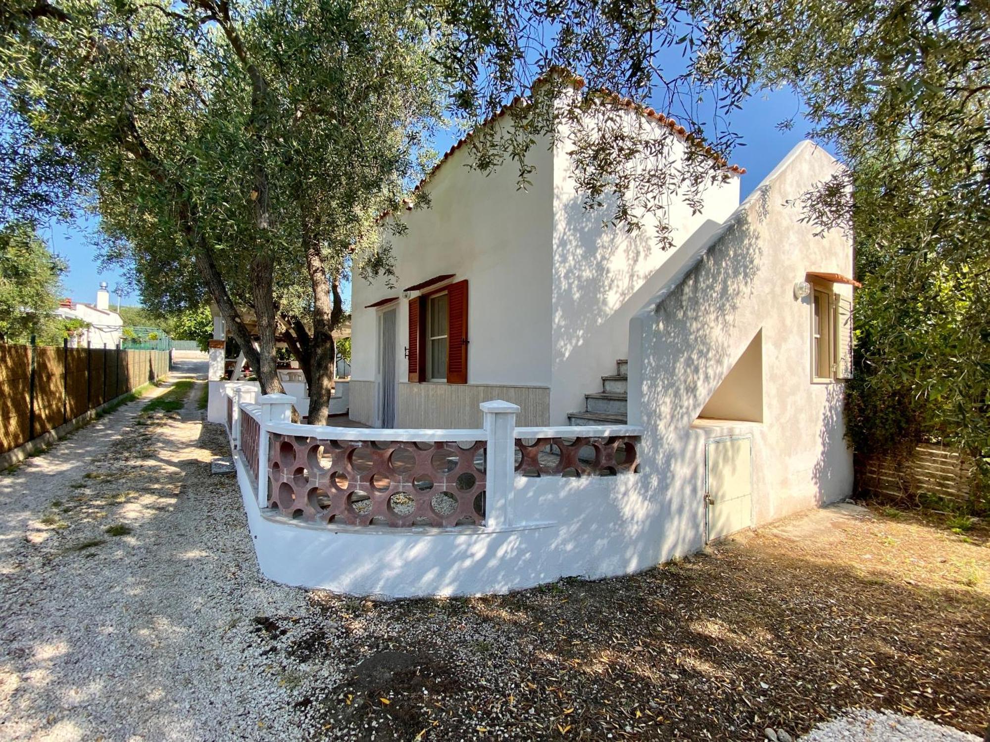 Case Vacanze L'Uliveto Mattinata Exterior foto