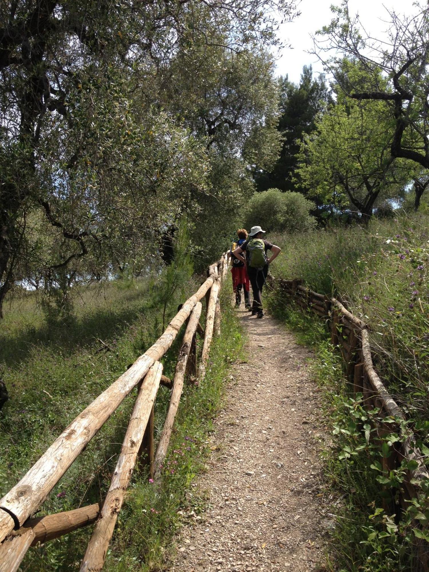 Case Vacanze L'Uliveto Mattinata Exterior foto